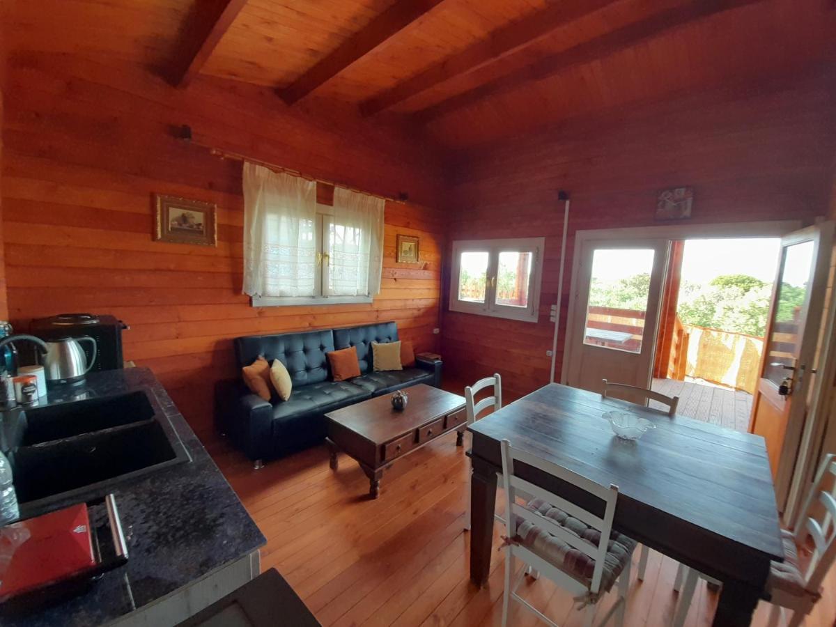 Villa Evenos Of 3 Bedrooms - Irida Country House Of 2 Bedrooms With Private Pools Элафониси Экстерьер фото